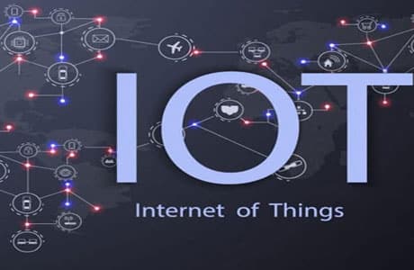 Learning and Career in IoT